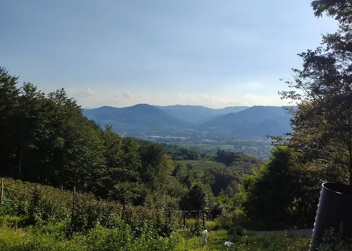 Suncevica Apartman *